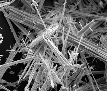 The microscopic asbestos fibers, pictured here, are like tiny needles that can become embedded in the lungs or other tissues.